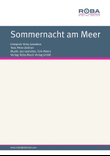 Sommernacht am Meer