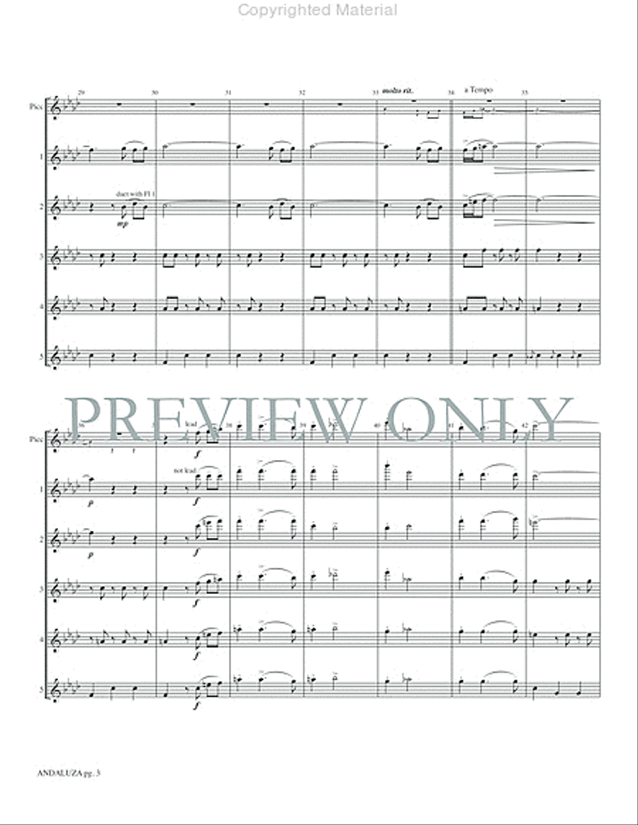 Andaluza -- Spanish Dance No. 5 Small Ensemble scores gallery preview page 5