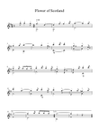 Flower of Scotland - Traditional Scottish Songs