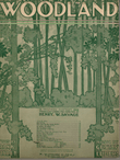 Selection From Woodland