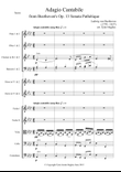 Adagio Cantabile for Orchestra from Beethoven Sonata Pathétique