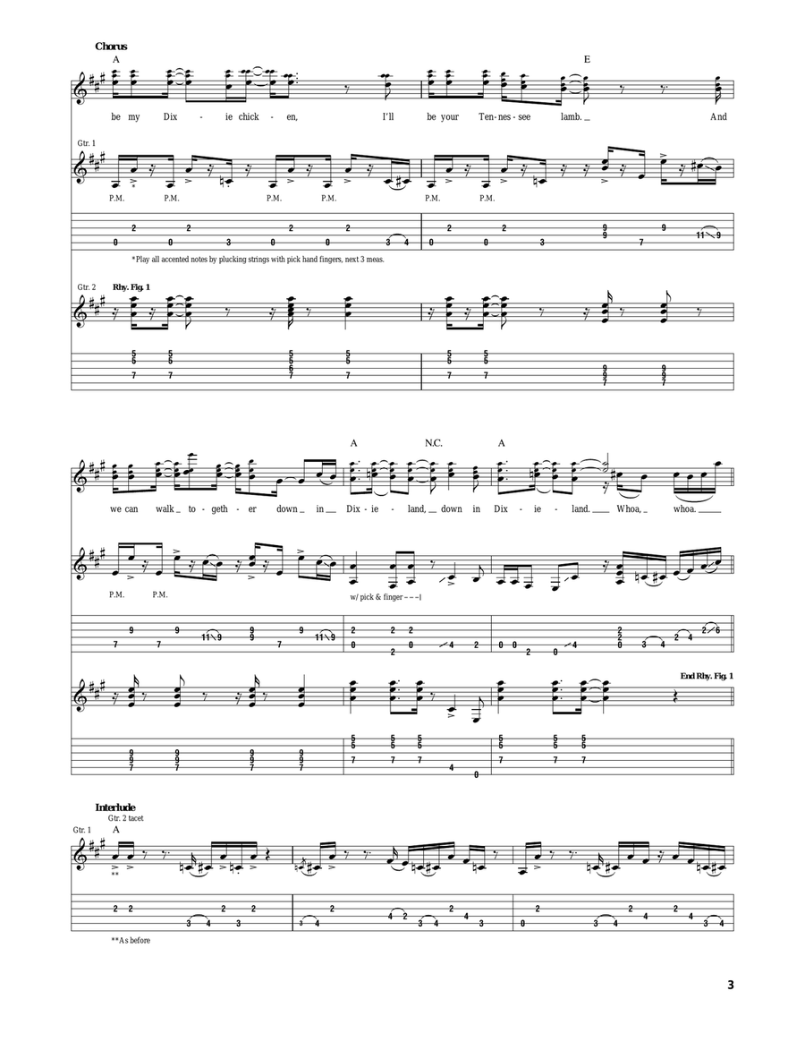 Dixie Chicken Dixie Chicken Acoustic Guitar scores gallery preview page 3