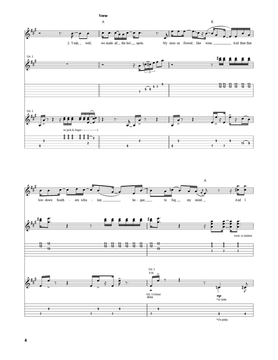 Dixie Chicken Dixie Chicken Acoustic Guitar scores gallery preview page 4