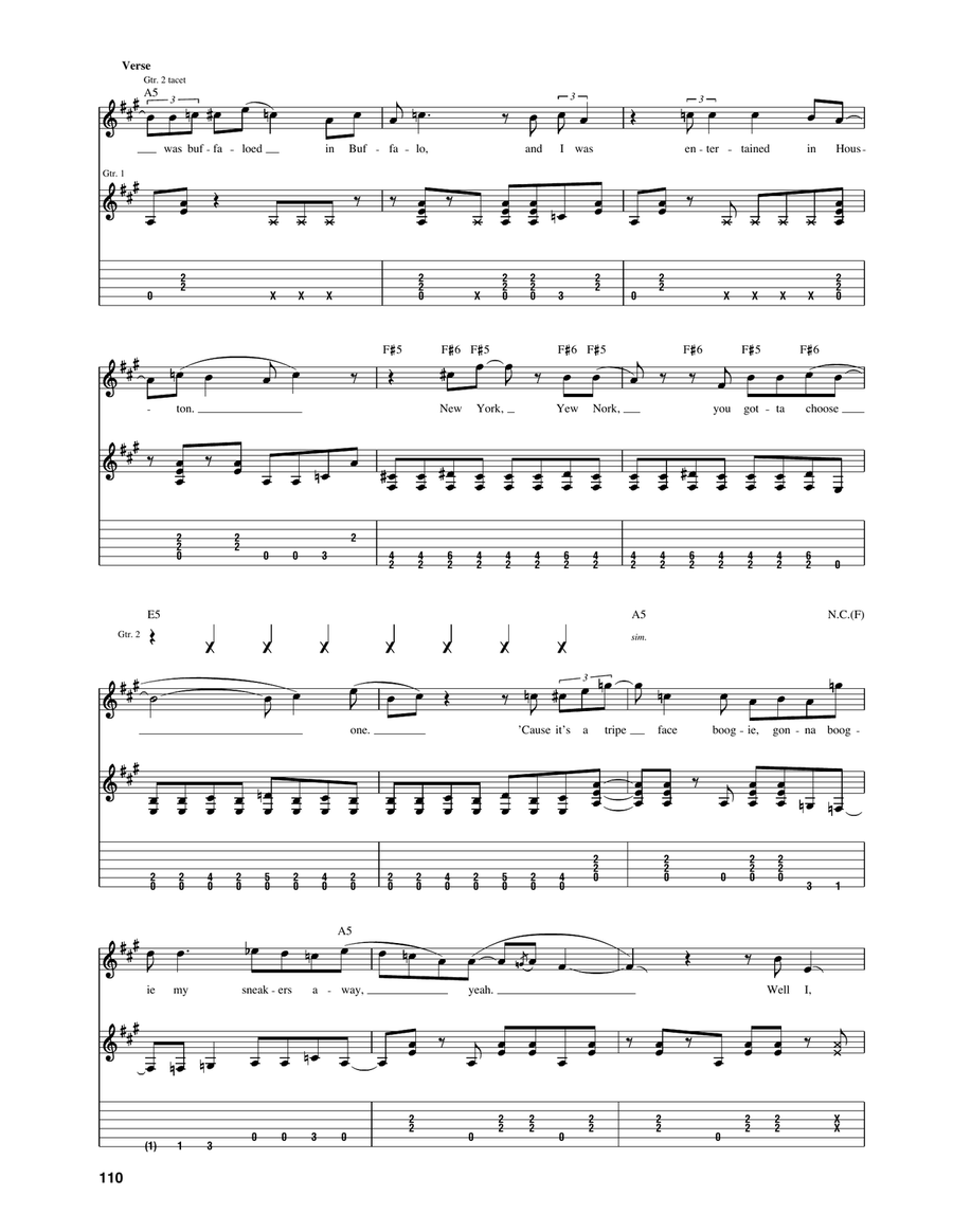 Tripe Face Boogie Acoustic Guitar scores gallery preview page 3