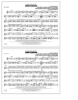 Centuries - Flute/Piccolo