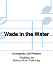 Wade In the Water