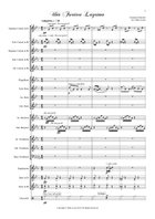Una Furtiva Lagrima (Brass band w. horn/flugel feature) Brass Band scores gallery preview page 3