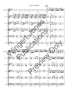 Capriccio Espagnol String Orchestra scores gallery preview page 7