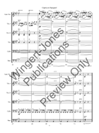 Capriccio Espagnol String Orchestra scores gallery preview page 9