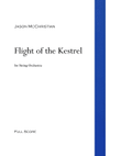 Flight of the Kestrel - for string orchestra