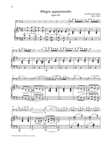 Allegro appassionato