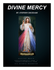 Divine Mercy mini preview