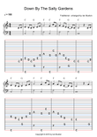 Down By The Sally Gardens for Celtic or Folk Harp with Chords