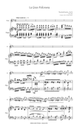 Boehm, Theobald Gran Polonesa for flute & piano