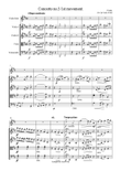 Seitz 1st movement from Pupil (Student) Concerto No.5 in D major for Violin and Piano arranged for V
