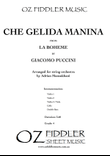 Che gelida manina, from La Boheme, by Giacomo Puccini, arranged for String Orchestra by Adrian Mansu