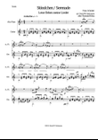 Ständchen (Serenade) for alto-flute and guitar after Theobald Böhm