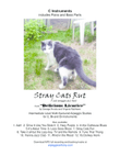 Stray Cats Rut, flute, violin, C instruments