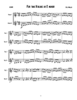 For Two Violins in E minor