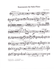 Statements for Solo Flute