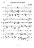 Sleep wayward thoughts for 2 flutes and guitar