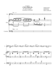 CIOCÂRLIA (La Alondra / The Skylark) Violin, Piano & Contrabass.