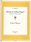 Einsam in trüben Tagen