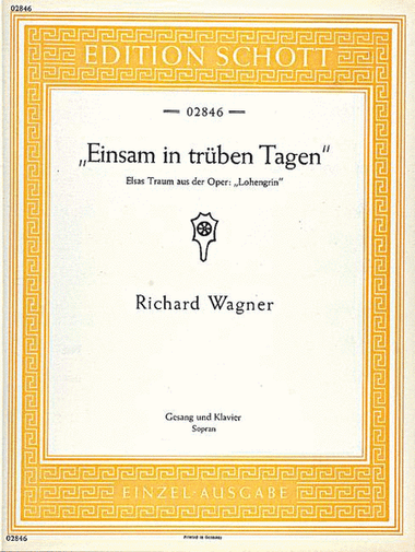 Einsam in trüben Tagen