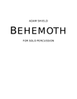 Behemoth for Solo Percussion