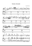 Smokey Serenade - Violin Solo with Piano Accompaniment