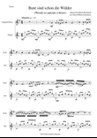 Bunt sind schon die Wälder (Woods in autumn colours) for cor anglais and guitar
