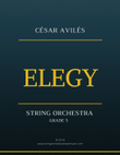 Elegy for String Orchestra