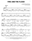 Fire And The Flood mini preview