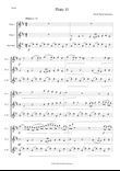 Flute 11 for flute trio