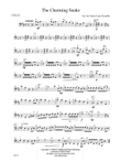 The Charming Snake: Cello