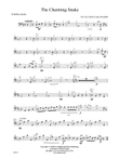 The Charming Snake: String Bass