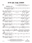 Eye of the Tiger: String Bass
