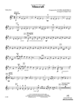 Minecraft: 2nd Violin