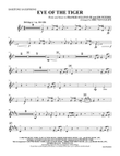 Eye of the Tiger: Baritone Saxophone