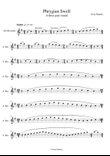 Phrygian Swell (for alto/treble recorders)