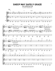 Sheep May Safely Graze mini preview