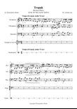 TREPAK Russian Dance P.I.Tchaikovsky