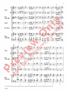 Lift Every Voice and Sing String Orchestra scores gallery preview page 6
