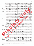 Lift Every Voice and Sing String Orchestra scores gallery preview page 14