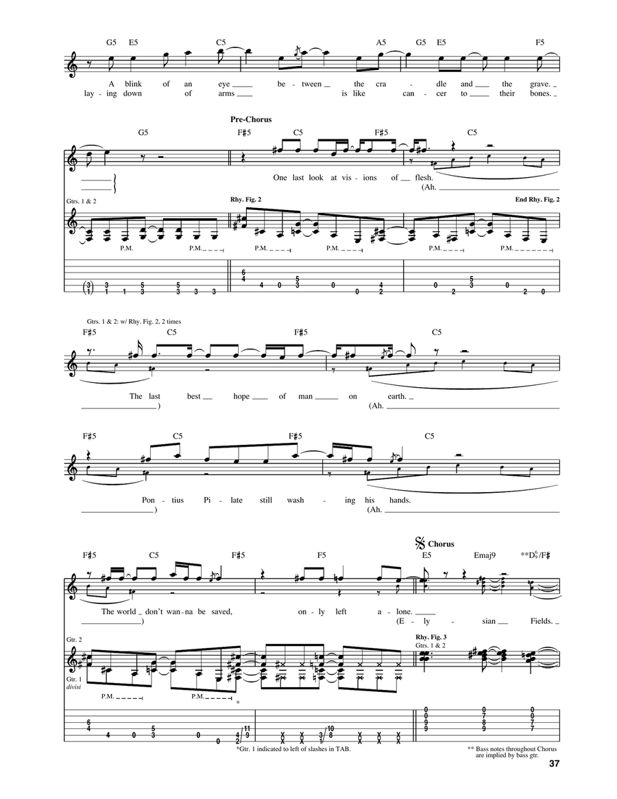 Elysian Fields Elysian Fields Acoustic Guitar scores gallery preview page 2