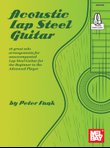 Acoustic Lap Steel Guitar