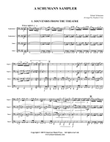 A Schumann Sampler