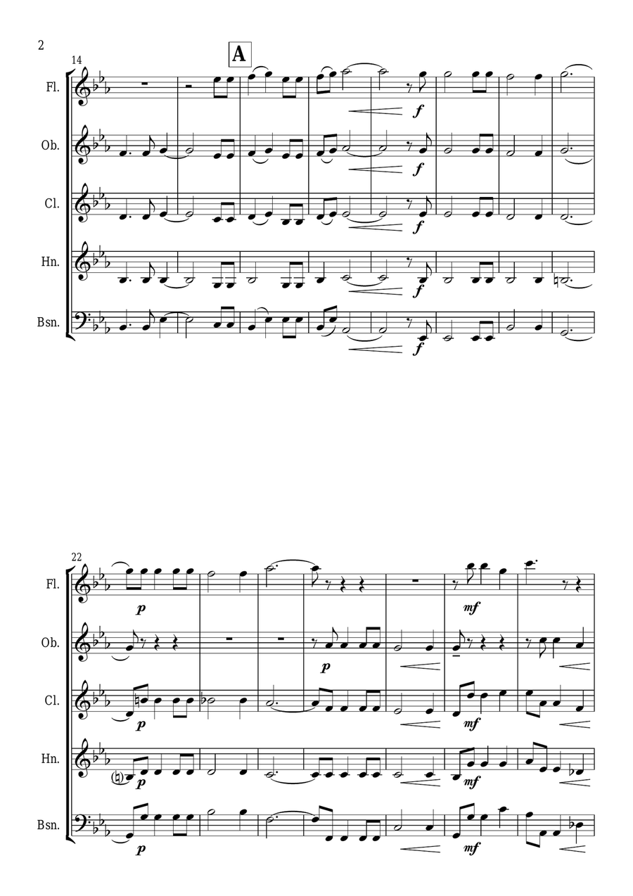 1812 Overture 1812 Overture Woodwind Quintet scores gallery preview page 3