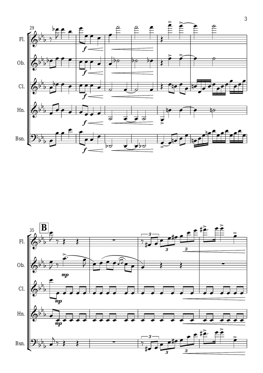 1812 Overture 1812 Overture Woodwind Quintet scores gallery preview page 4