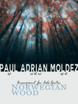Norwegian Wood (This Bird Has Flown)